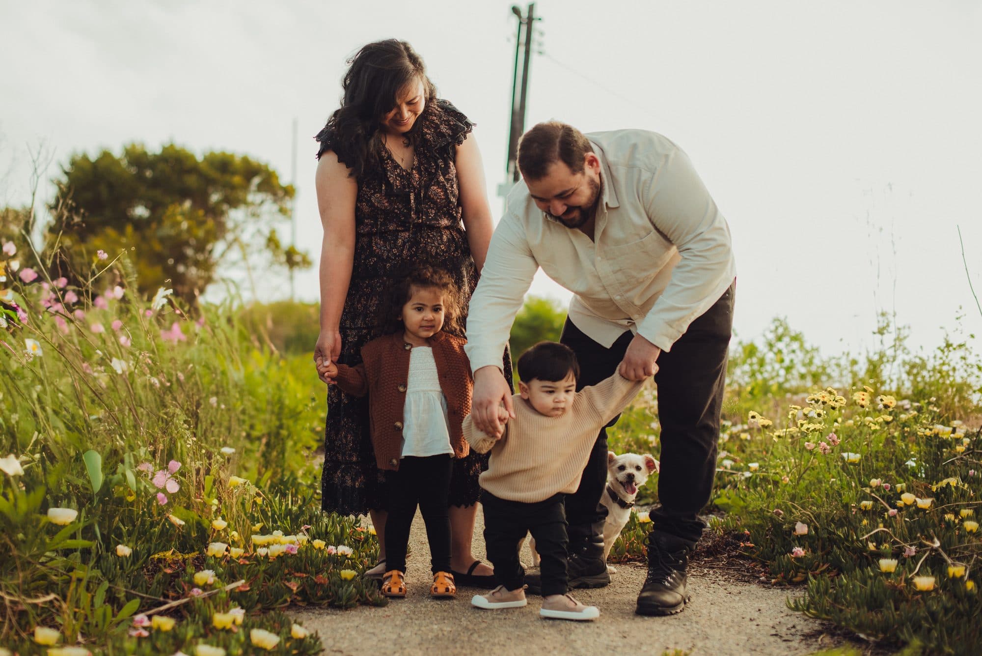 Family of four with their dog in a wildflower field
