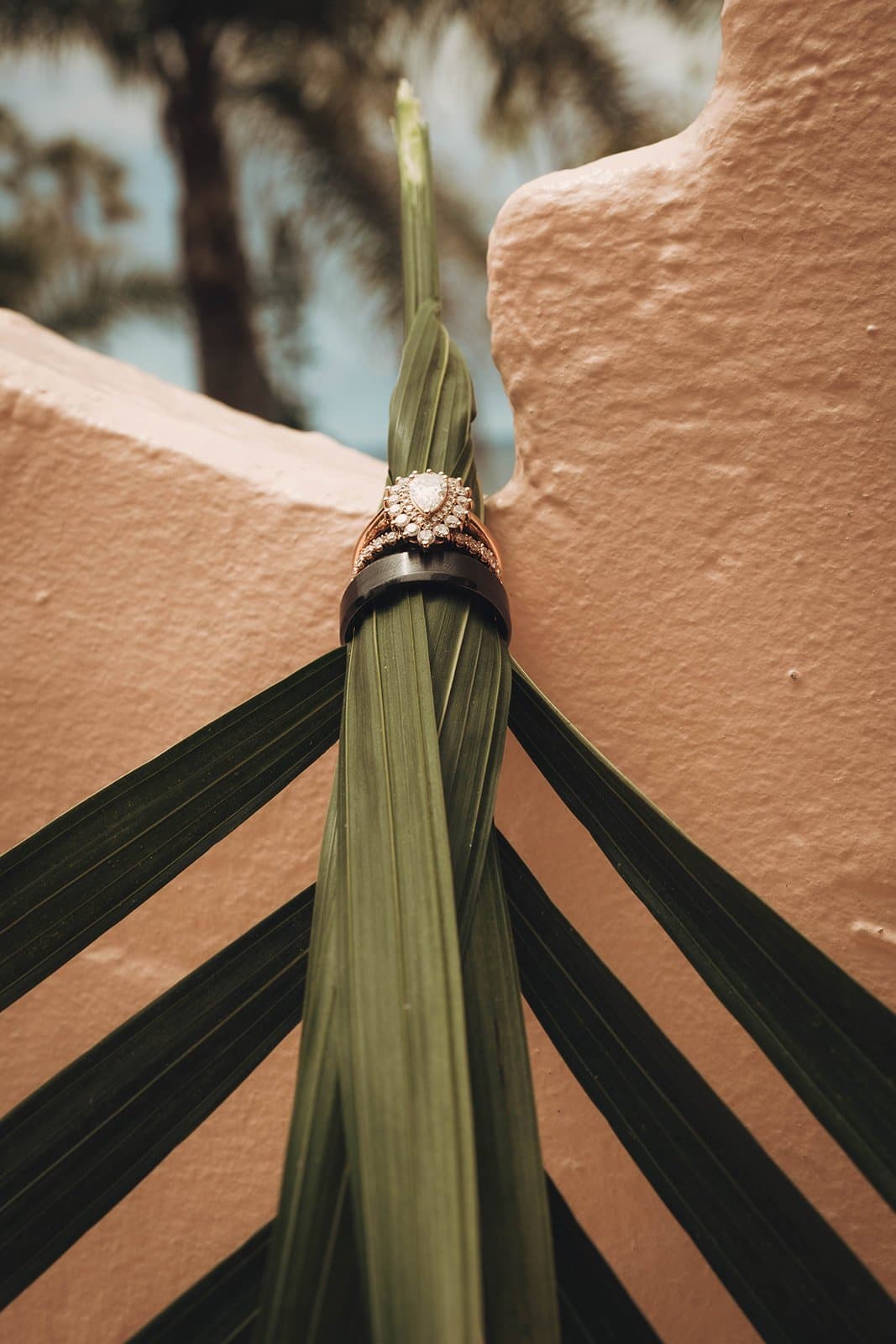Wedding rings resting on a palm leaf