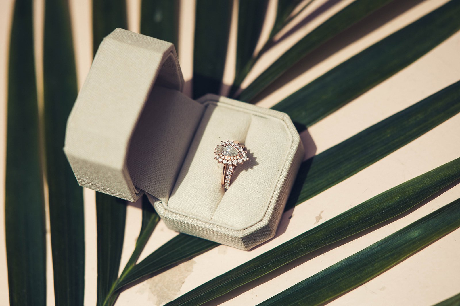 What Does Wedding Photography Cost in Los Angeles?, photo 3 by Pete Cohen, Los Angeles photographer